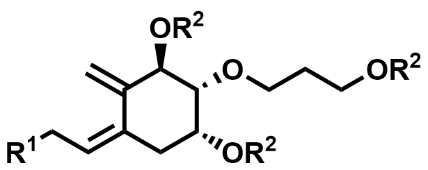Eldecalcitol Intermediates general structure