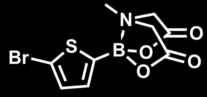 Skeletal structure of exemplary boronate building block