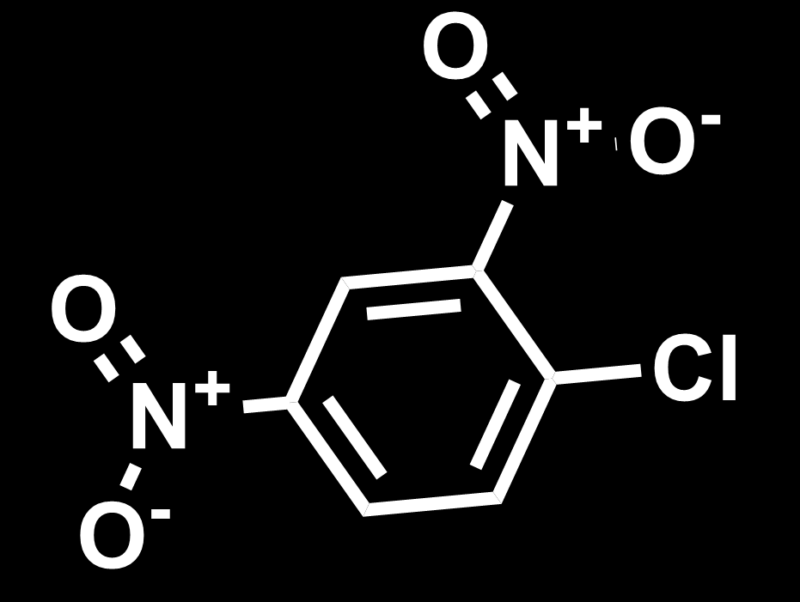 Skeletal structure of exemplary SNAr building block
