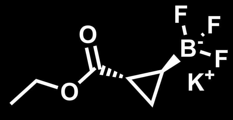 Skeletal structure of exemplary organotrifluoroborate building block