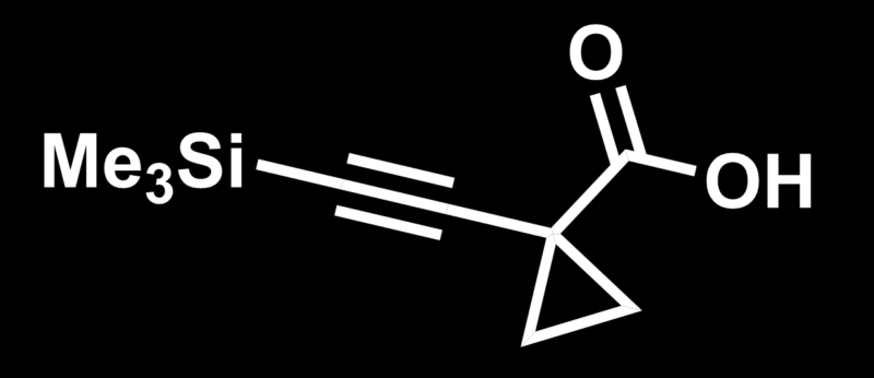 Skeletal structure of exemplary organosilicon building block