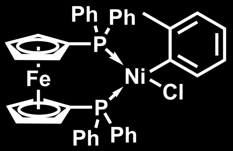 Skeletal structure of exemplary nickel catalyst