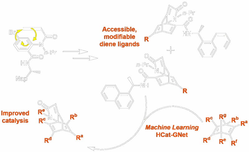 Summary of two papers - synthesis of Himbert Dienes and use of Machine learning